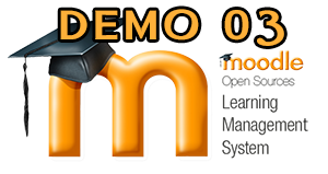 DEMO 03